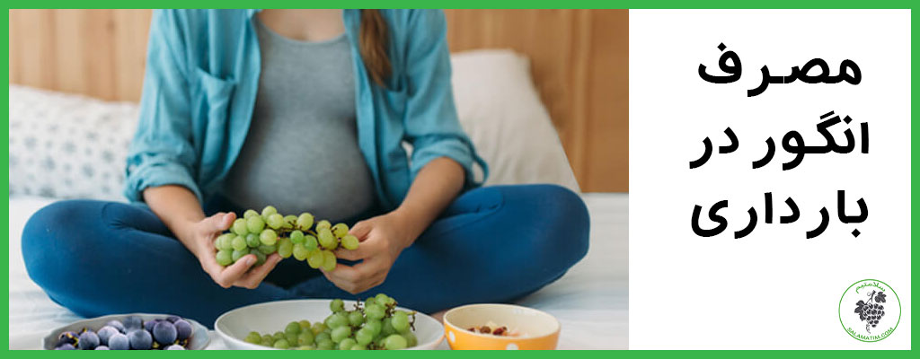 مصرف انگور سیاه در دوران بارداری